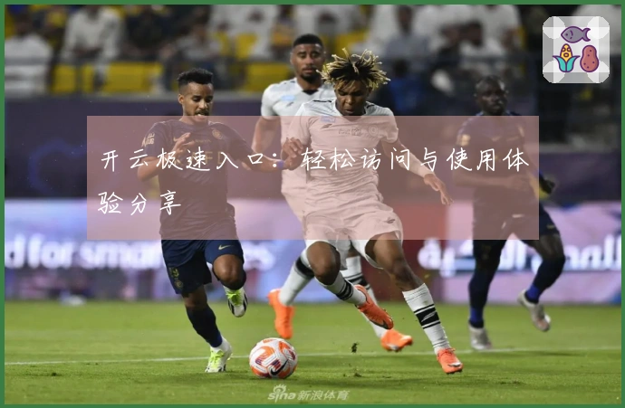 开云极速入口：轻松访问与使用体验分享