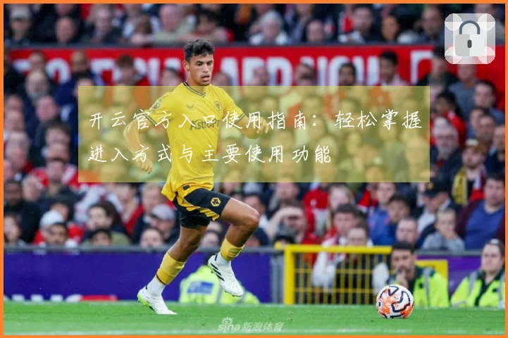 开云官方入口使用指南：轻松掌握进入方式与主要使用功能